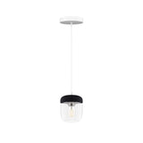 Acorn Pendant: Black + Polished Steel + White (Canopy)