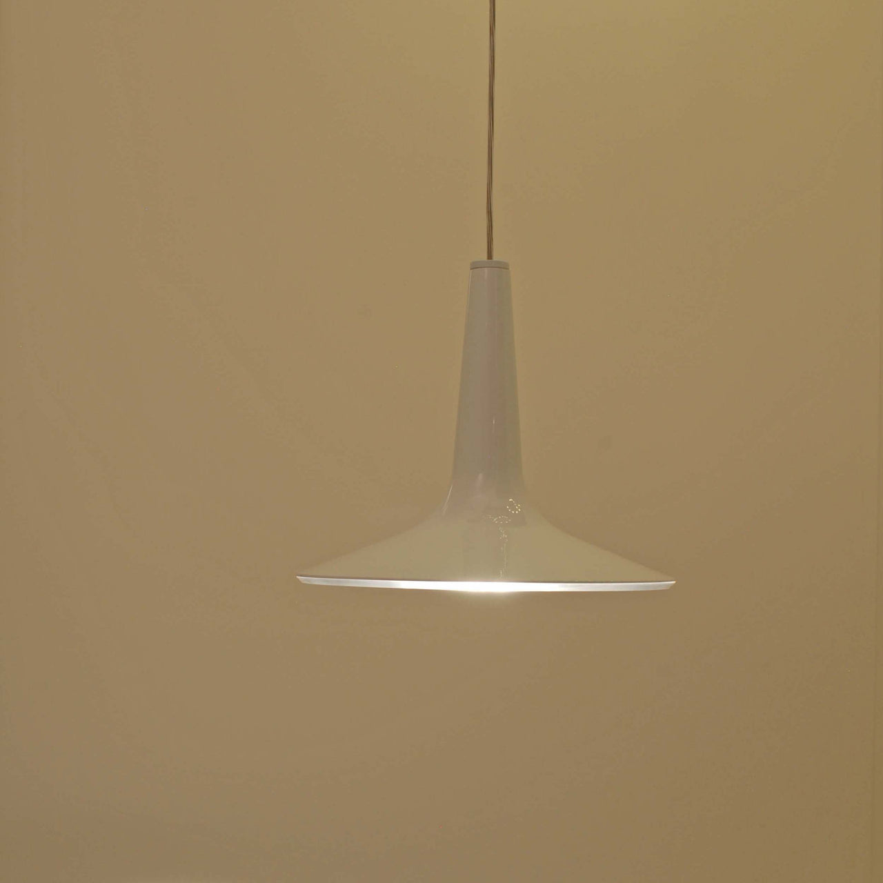 insitu