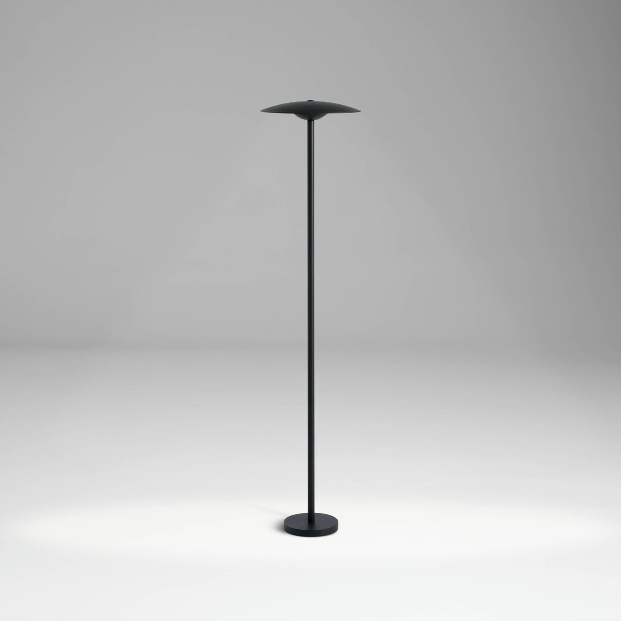 Ginger Bollard Light