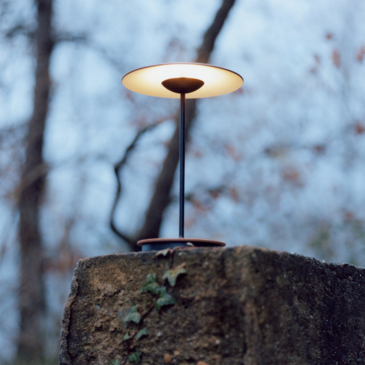 Ginger Portable Table Lamp