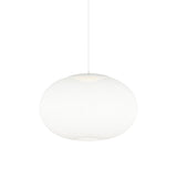 NR2 Suspension Light: Large - 29.5