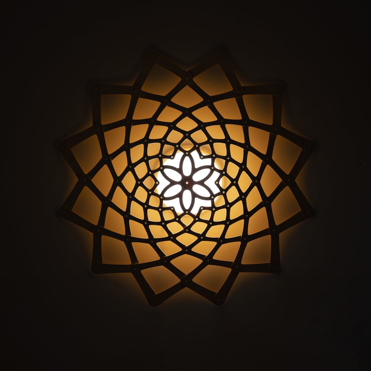 insitu