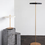 Asteria Table Lamp: Quick Ship