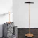 Asteria Floor Lamp: Quick Ship
