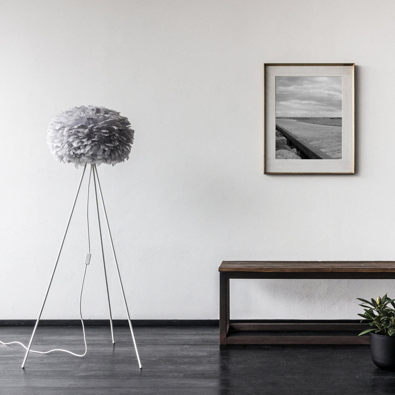 insitu