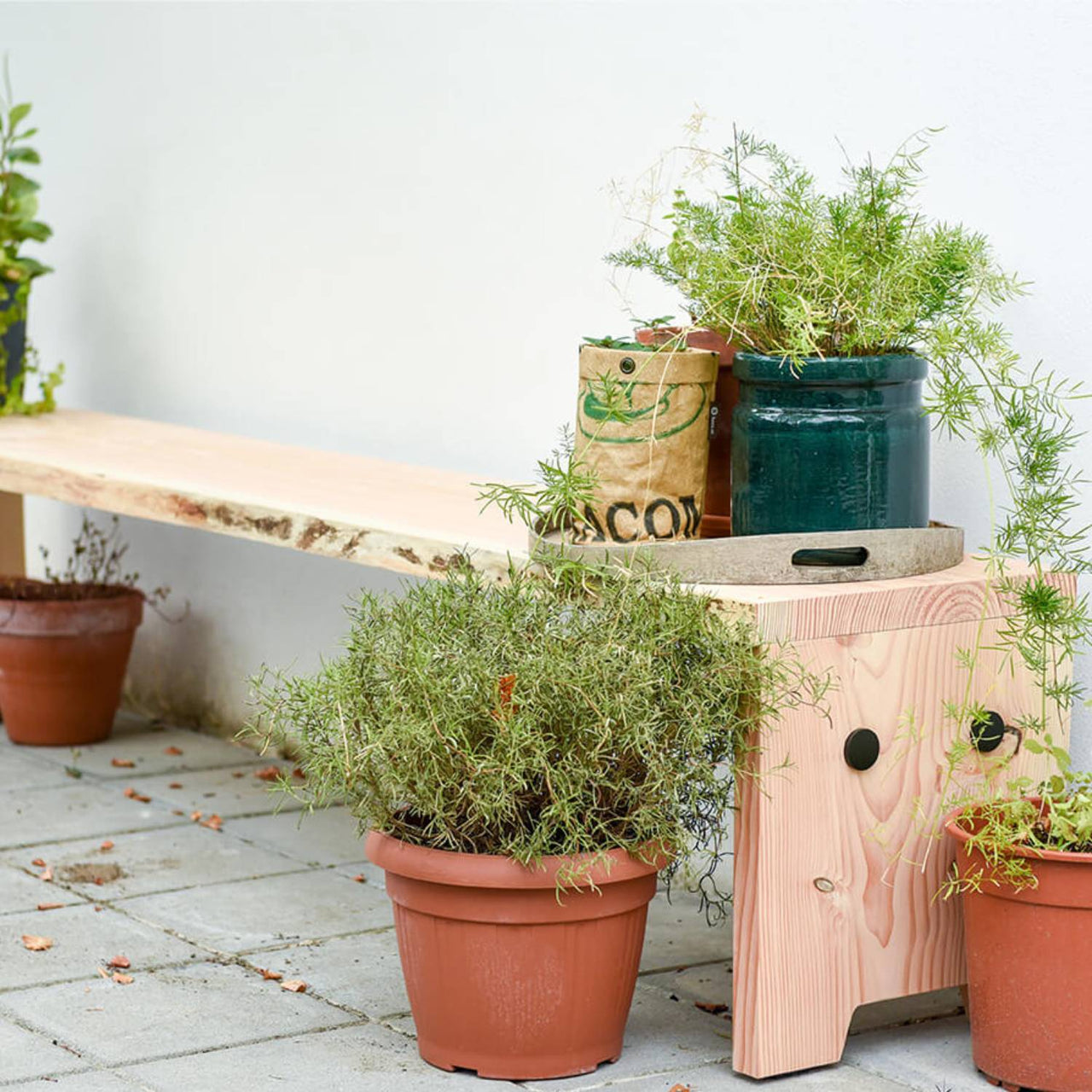 Forestry Bench