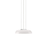 Totem Downlight Pendant: D