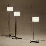 TMC Floor Lamp