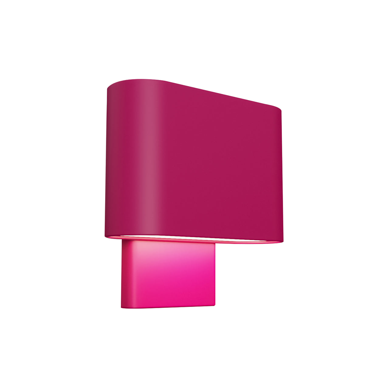 Kalli Wall Sconce: Hibiscus