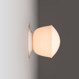 Contour Ceiling/Wall Light