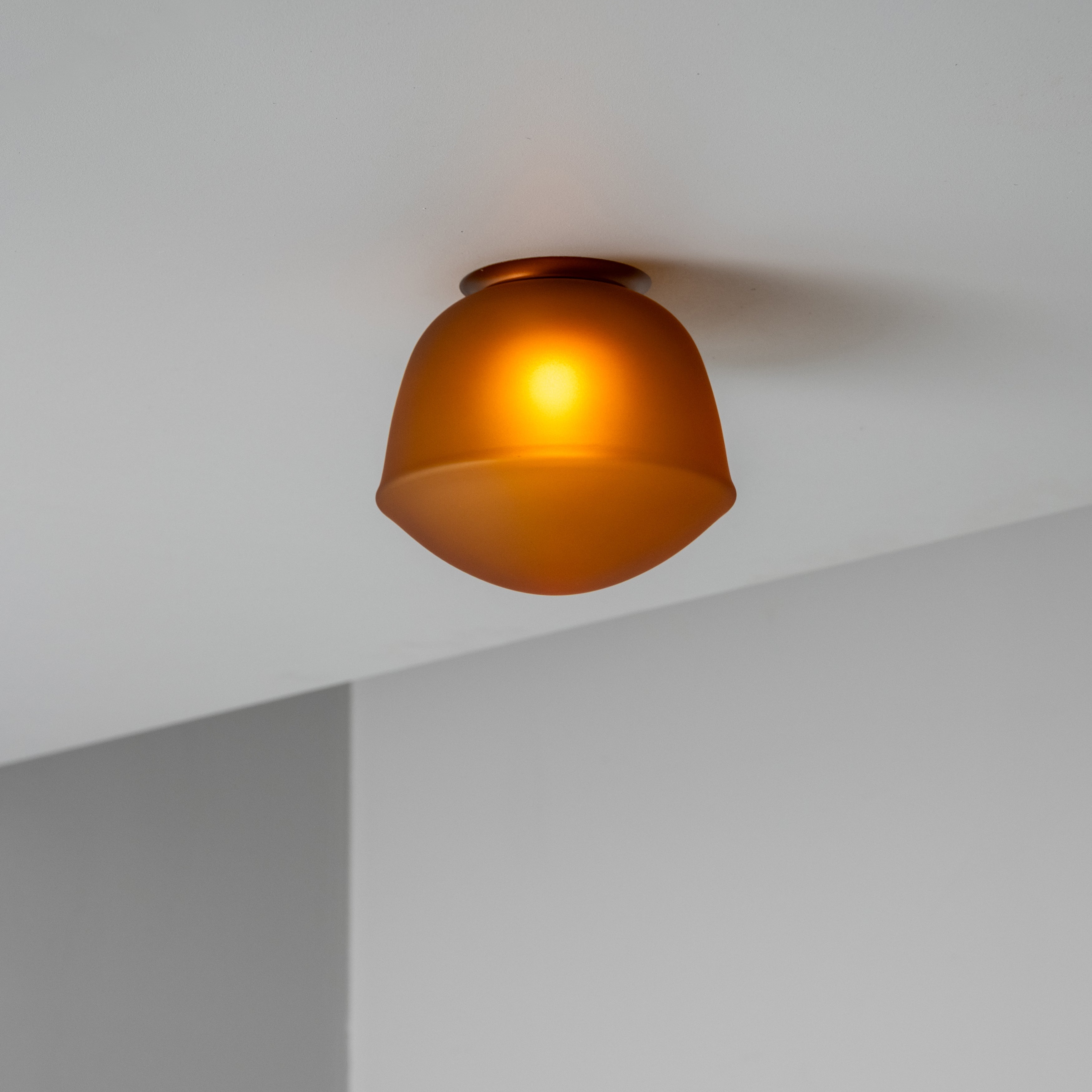 Contour Ceiling/Wall Light