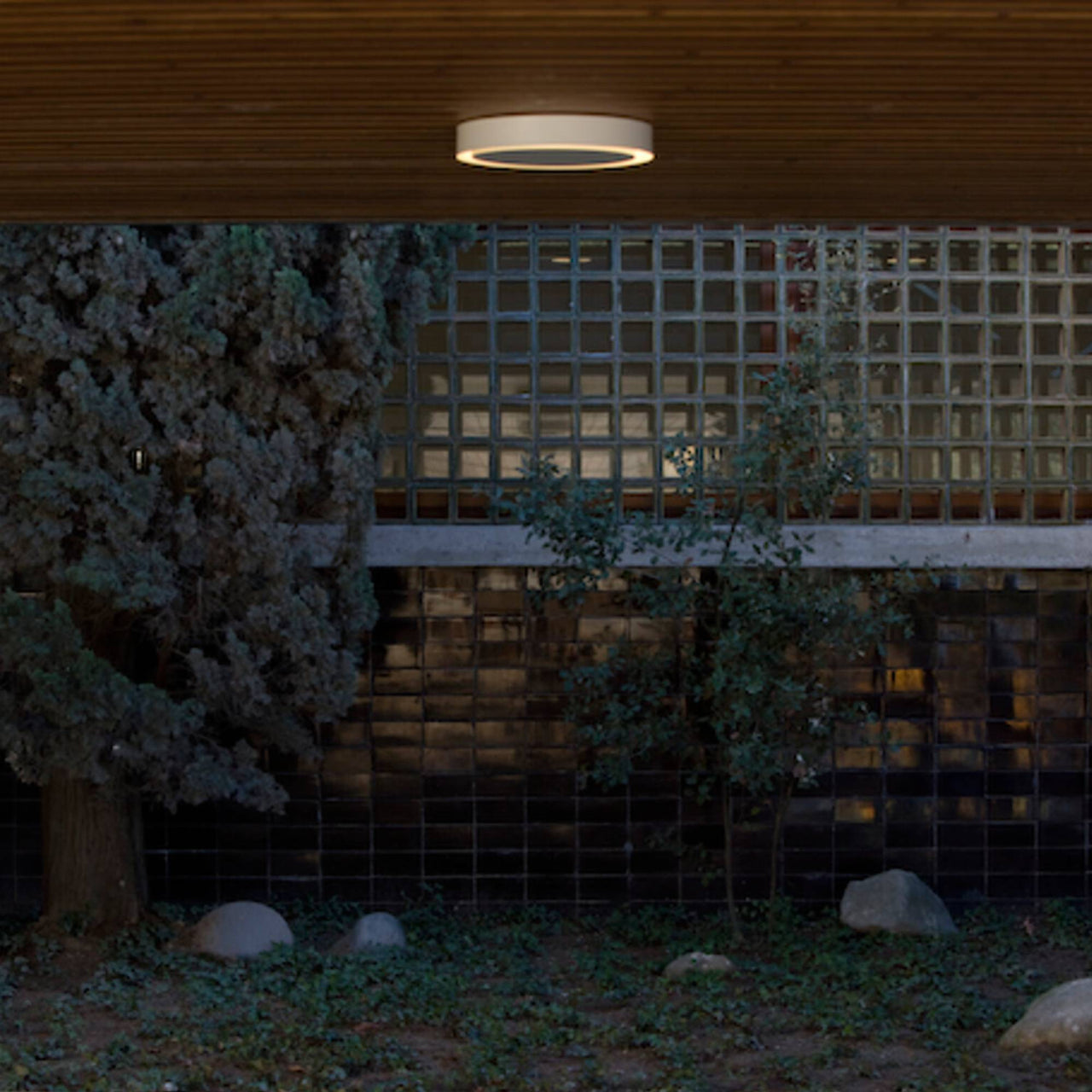 Amigo Wall Lamp: Outdoor