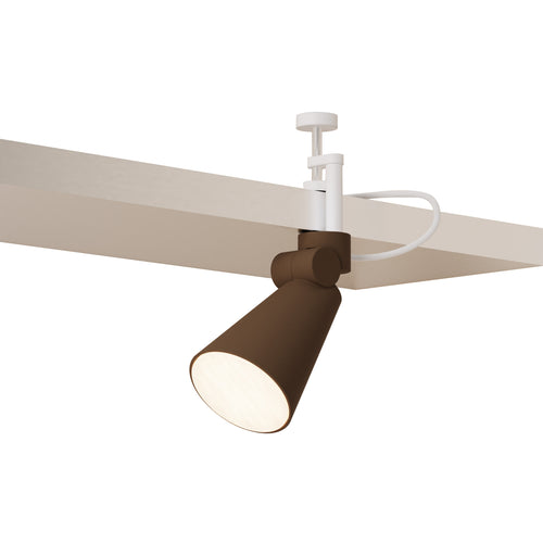 Aim Clamp Light: Walnut + White