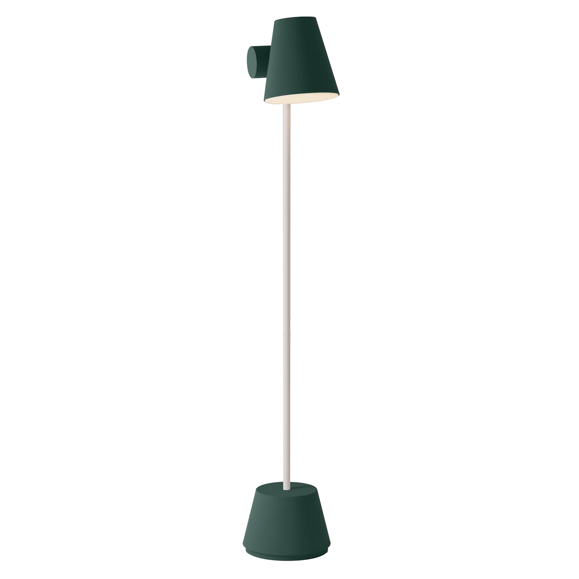 Aim Floor Light: Spruce + White