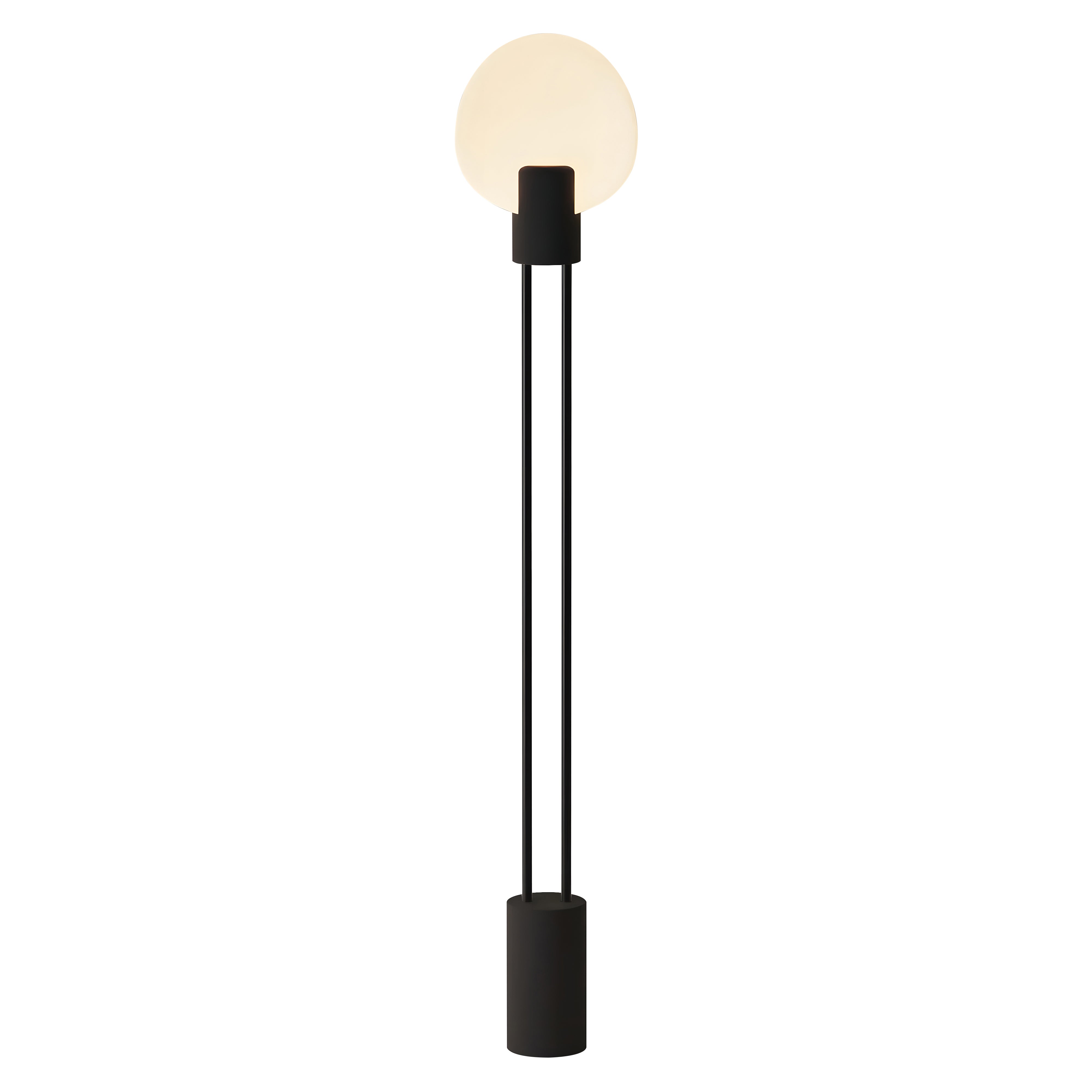 Pavone Floor Light: Carbon + Black