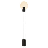 Pavone Floor Light: Carbon + Black