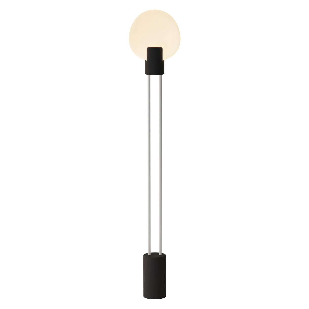 Pavone Floor Light: Carbon + White