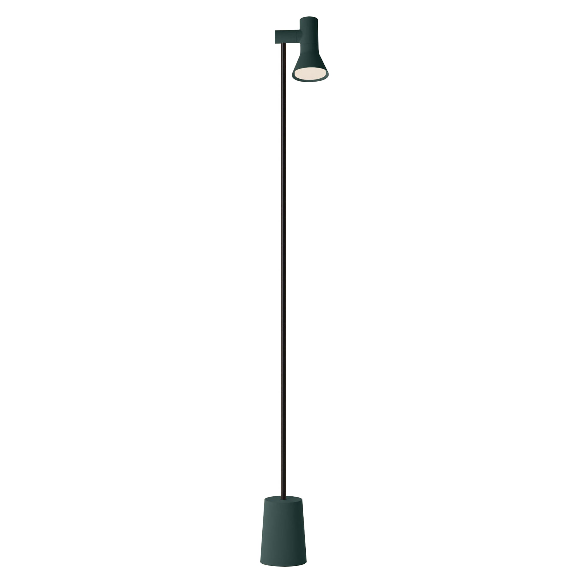 Gallery Floor Light: Spruce +  Black