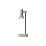 Gallery Task Light: Meadow + Chrome
