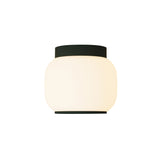 Canopy Flush Mount: Spruce