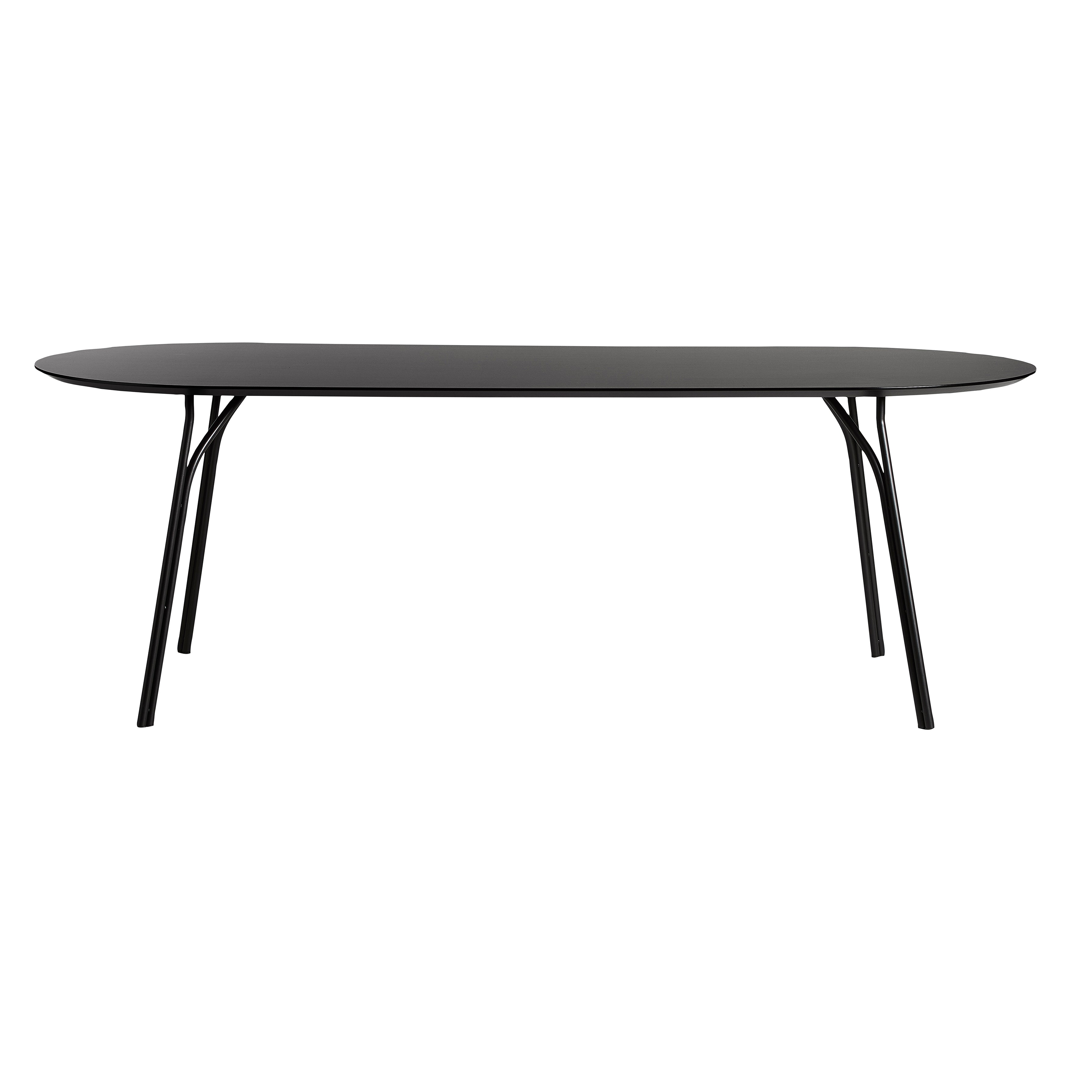 Tree Dining Table: Oval - 86.6