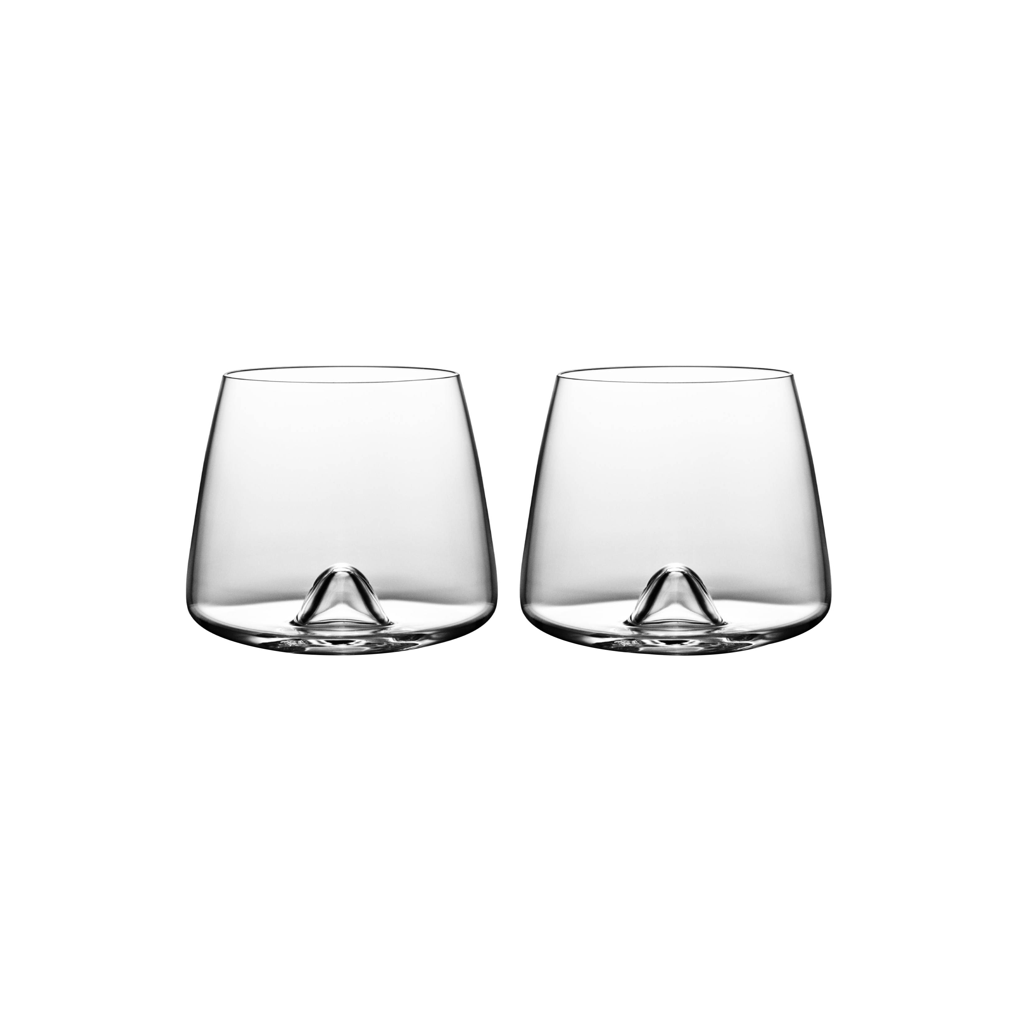 Whiskey Tumblers Set of 2