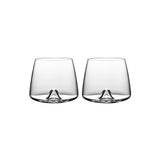 Whiskey Tumblers Set of 2