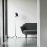 insitu