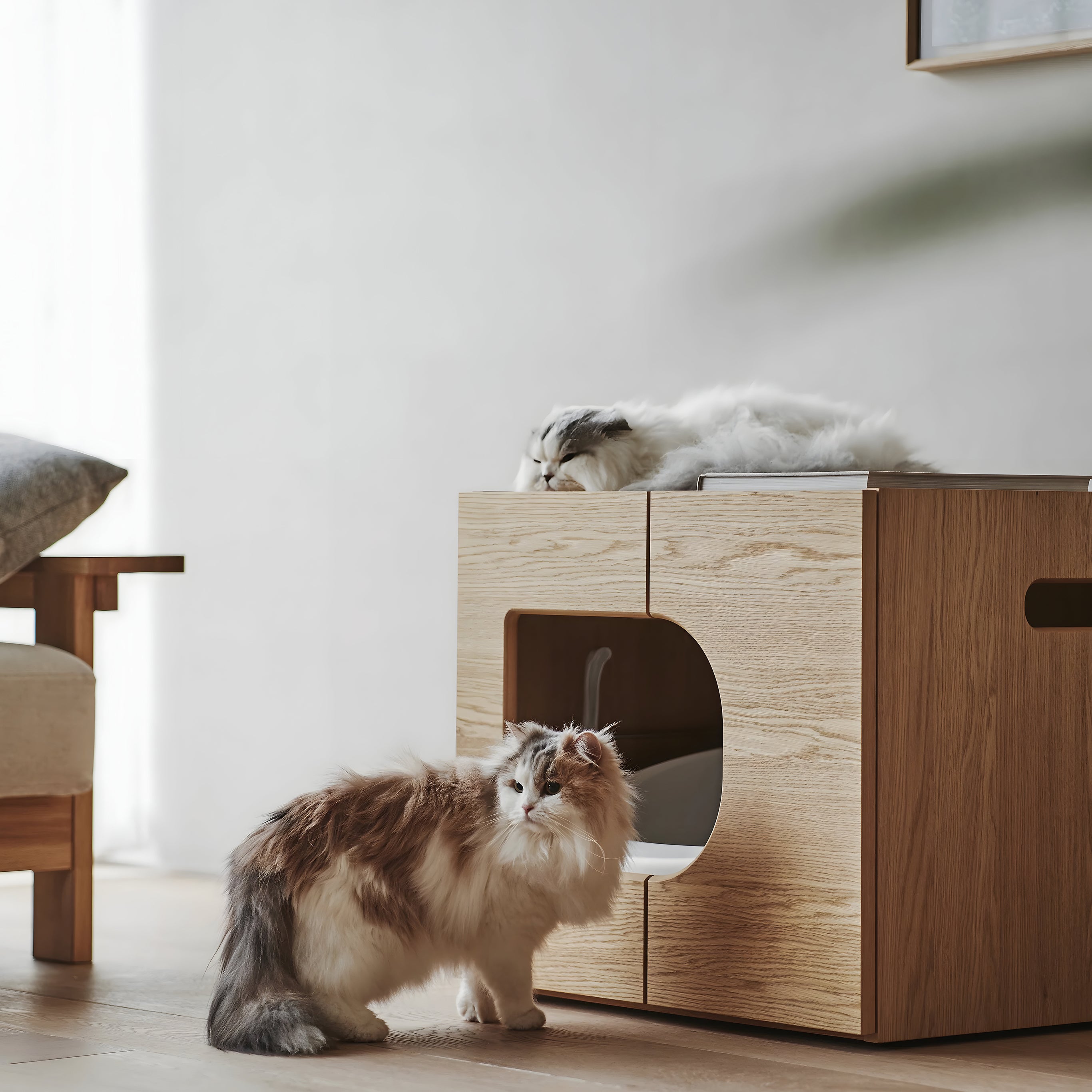 Cat Box
