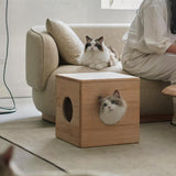 Cat Nest