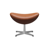 Egg Footstool: Brushed Aluminum