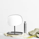 Flip Mirror