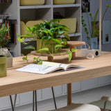 Linear System Modular Table: Modules + LS