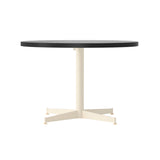 Nook Lounge Table: Black Oak Veneer + Ivory