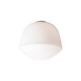 Contour Ceiling/Wall Light