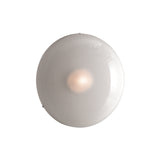 Iris Ceiling/Wall Light: Large - 35.4