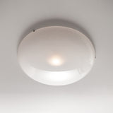 Iris Ceiling/Wall Light A