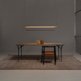insitu