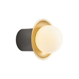 IP Janed Wall Light: Polished Graphite + Satin Brass 