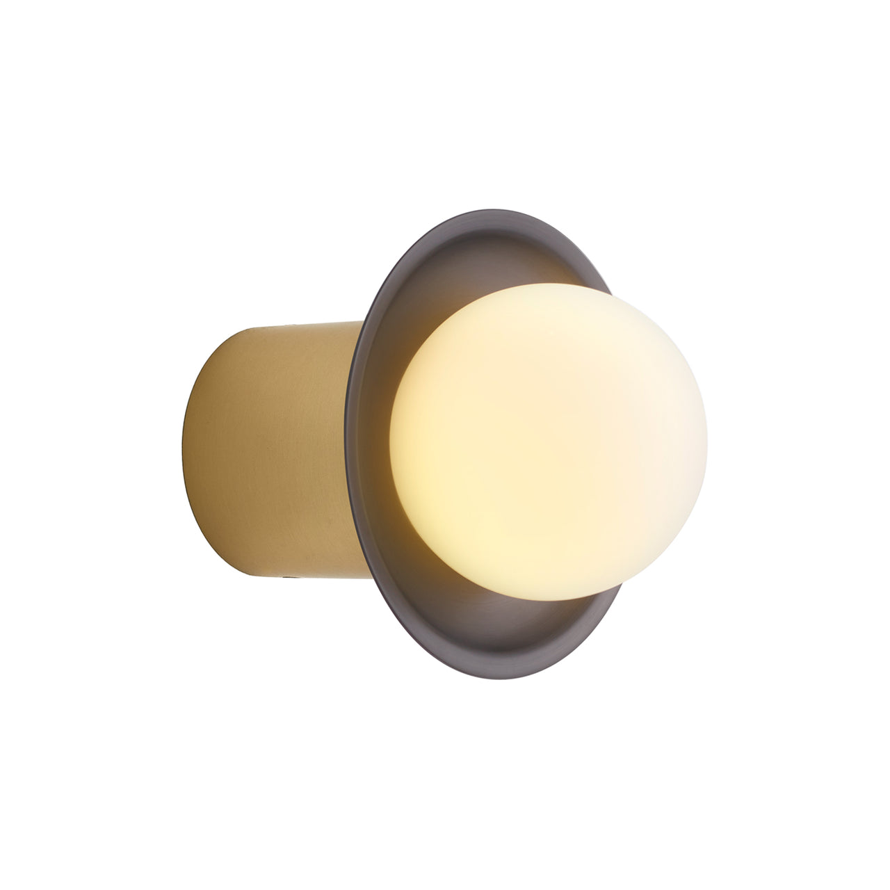 IP Janed Wall Light: Polished Brass + Polished Graphite 