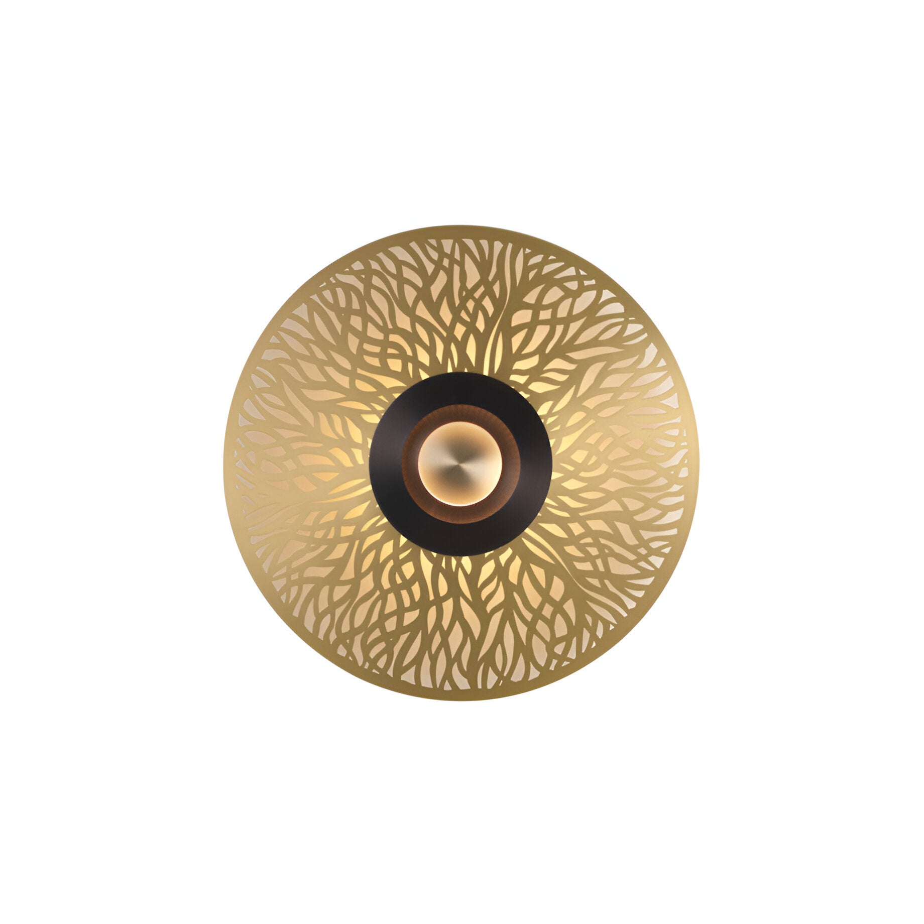 Earth Wall Light: Racine + Small - 13