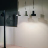Arne S Domus Pendant Lamp