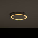 Amigo Wall Lamp: Outdoor