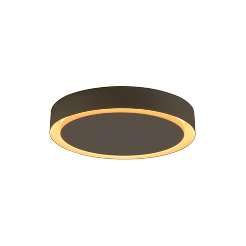 Amigo Wall Lamp: Outdoor