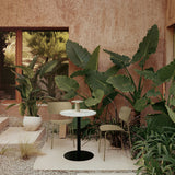 Co Outdoor Dining Chair: Quick Ship