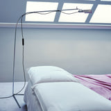 Flamingo Lamp: Quick Ship
