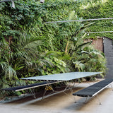 insitu