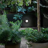 Berlin Wall Lamp: Outdoor