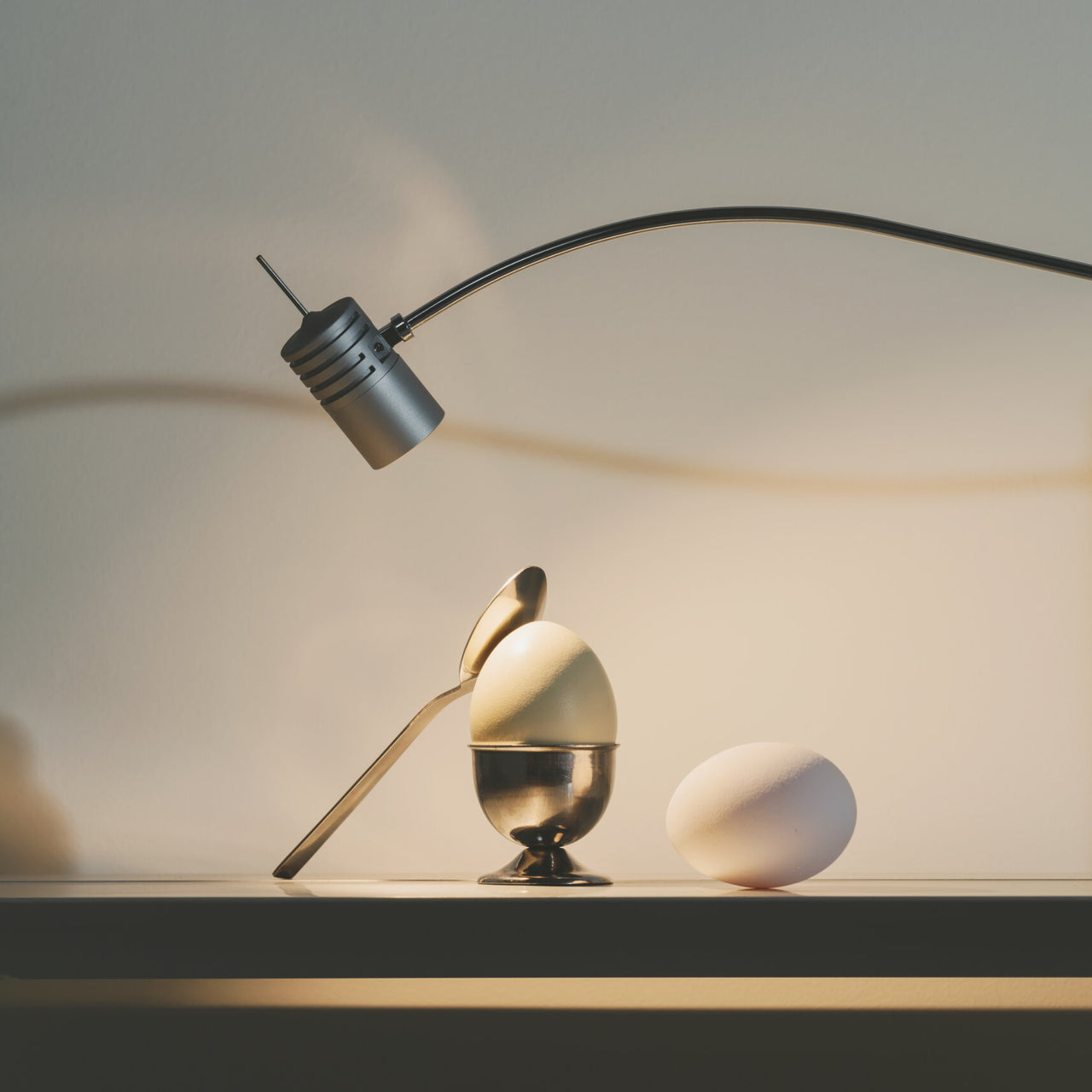 Bib Luz Table Lamp