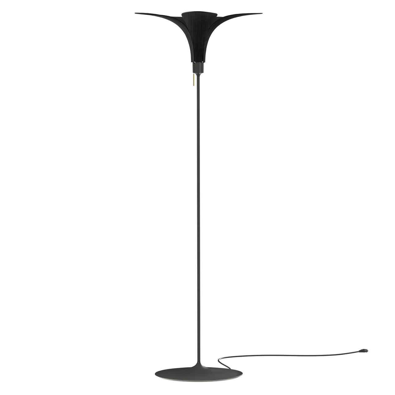 Jazz Champagne Floor Lamp: Black Oak + Black